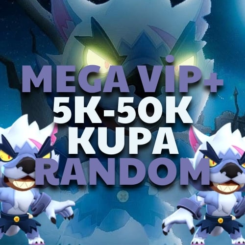  5K-50K ARASINDA RANDOM BS HESAP